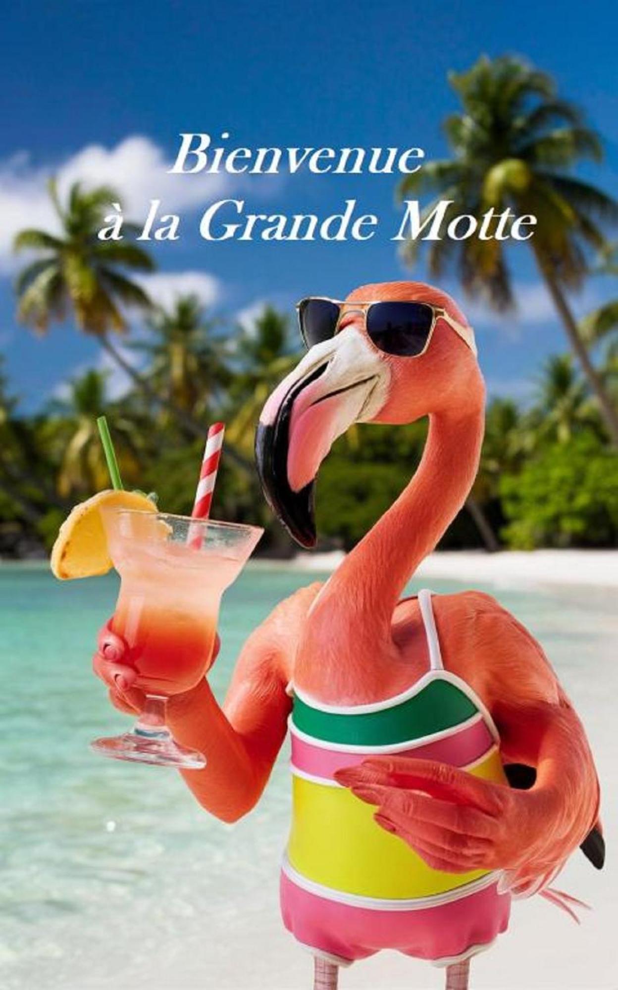 Mes Vacances A La Mer Studio 4 Pers, Parking Prive, Wifi, Linges Fournis, Climatisation La Grande Motte Bagian luar foto